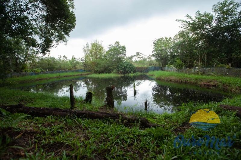 Chácara, 5 quartos, 7000 m² - Foto 8